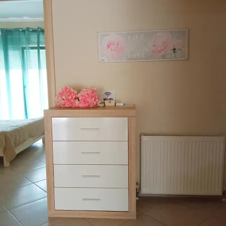 Tzikas 塞萨洛尼基