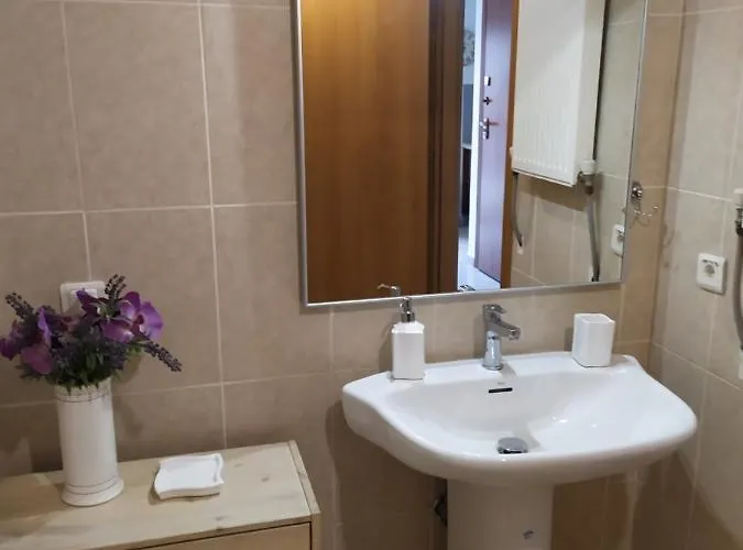 Appartement Tzikas *