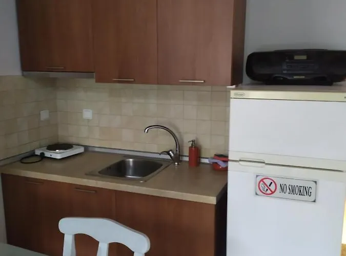 Apartment Tzikas