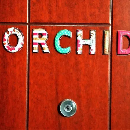 Tzikas * Thessaloniki